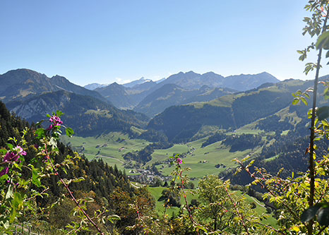 saanenland view