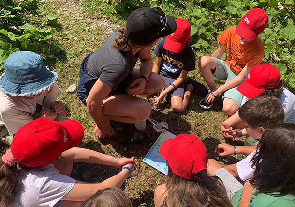 Water weel in the river